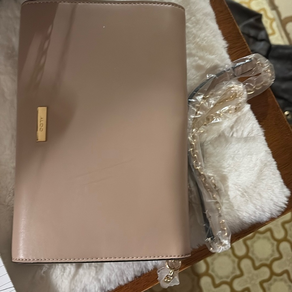 ALDO Nude  Clutch Purse